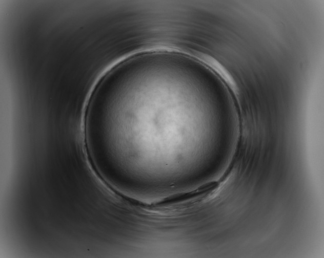 X0000092221388200709211000