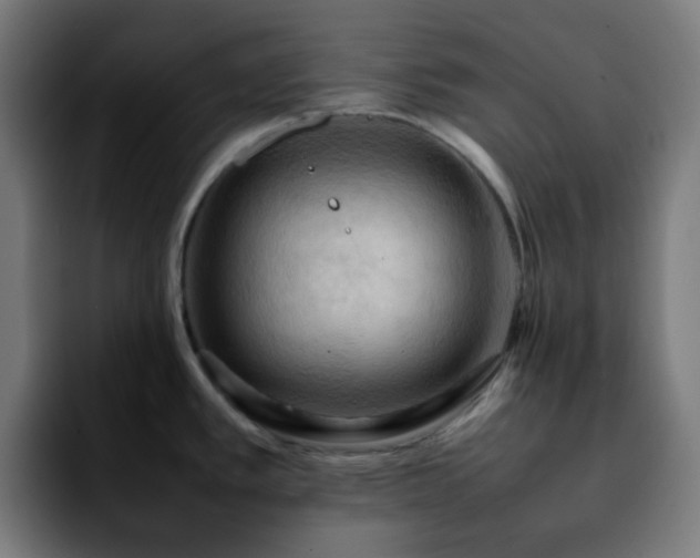 X0000092221389200709211000