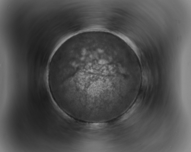 X0000092221390200709211000