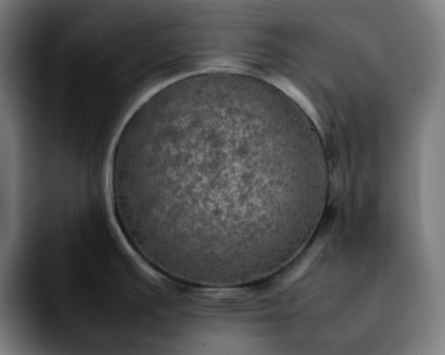 X0000092221391200709211000