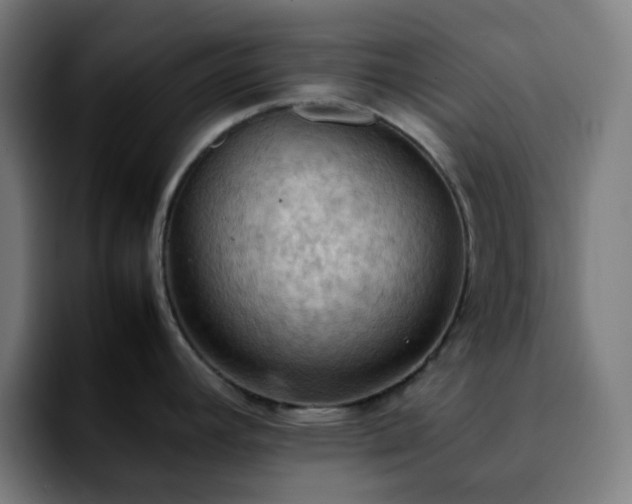 X0000092221392200709211000