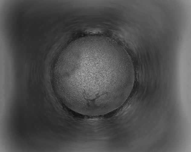 X0000092221393200709210959