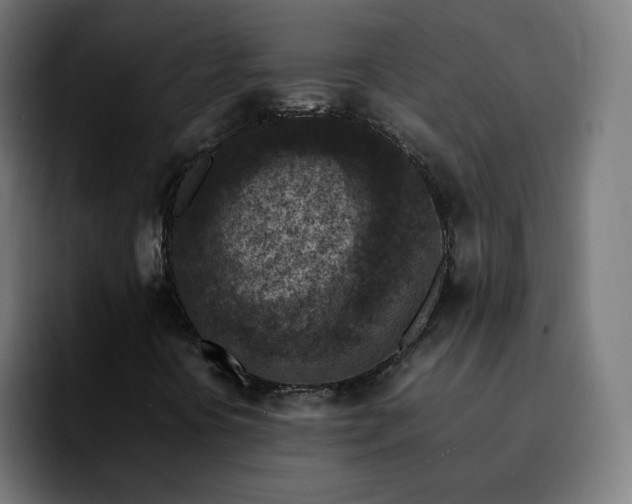 X0000092221394200709210959