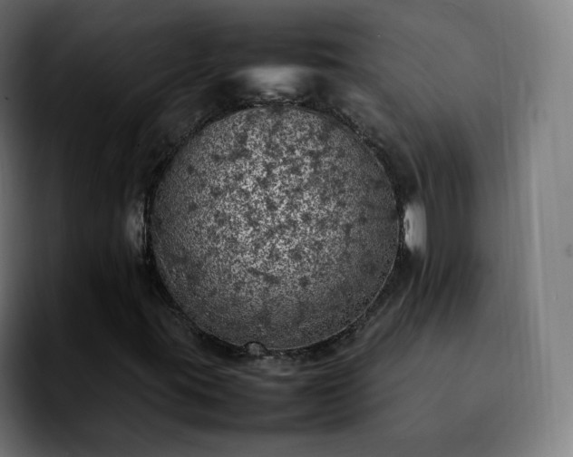 X0000092221395200709210959