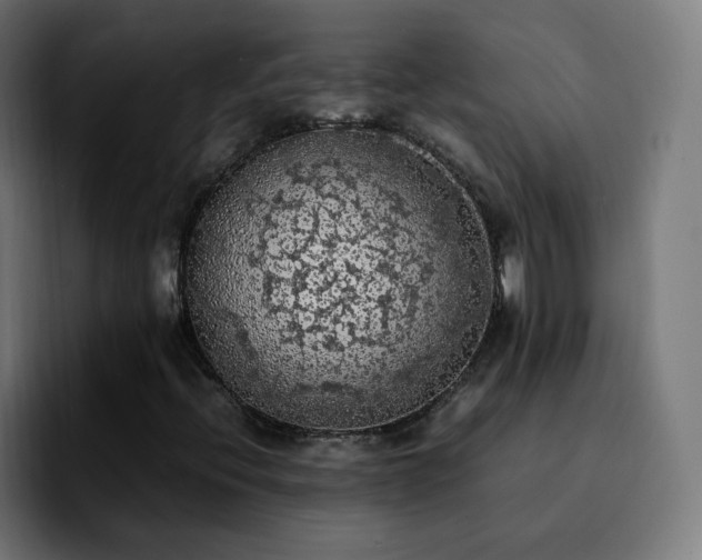 X0000092221396200709210959