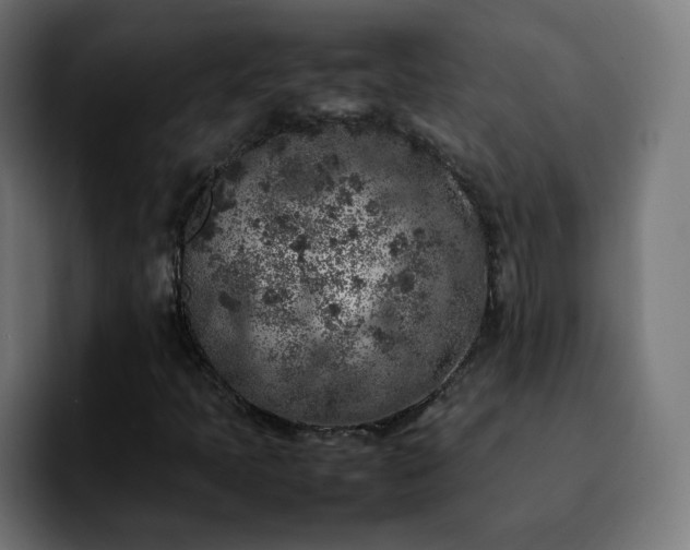 X0000092221397200709210959