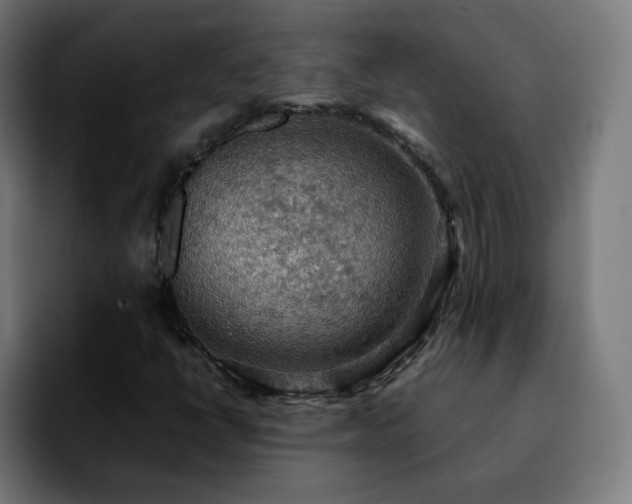 X0000092221398200709210959