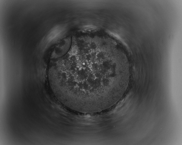 X0000092221399200709210959