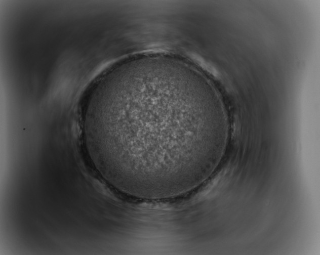 X0000092221400200709210959