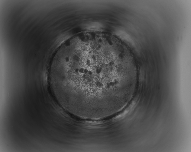 X0000092221401200709210959