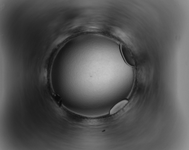 X0000092221402200709210959