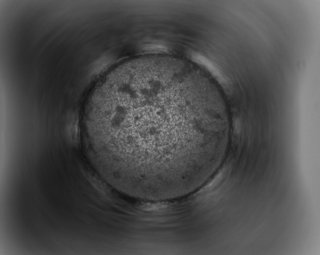 X0000092221403200709210959