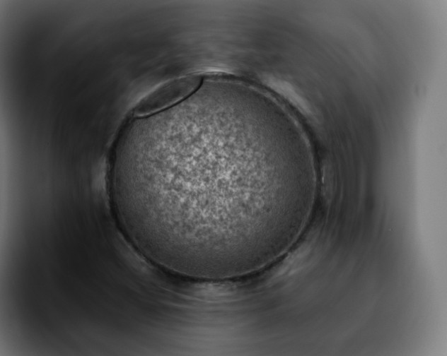 X0000092221404200709210959