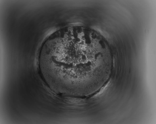 X0000092221405200709210959