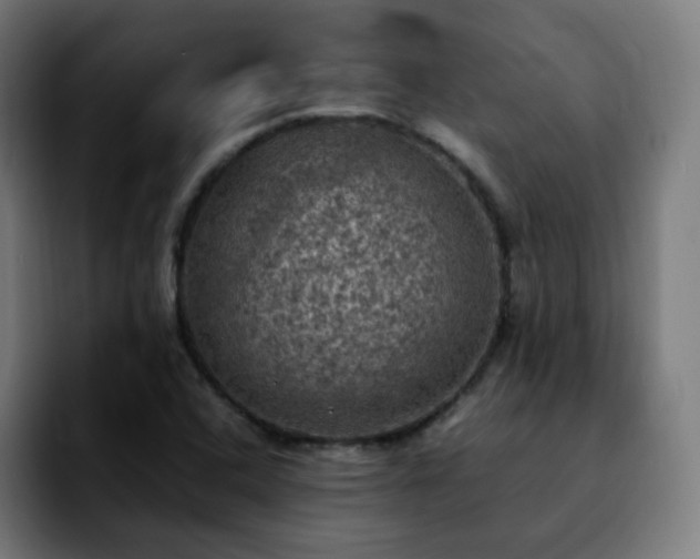 X0000092221408200709210959