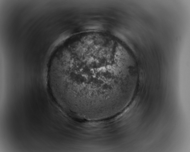 X0000092221411200709210959