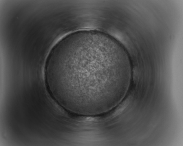 X0000092221412200709210959