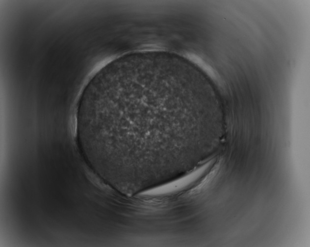 X0000092221413200709210959