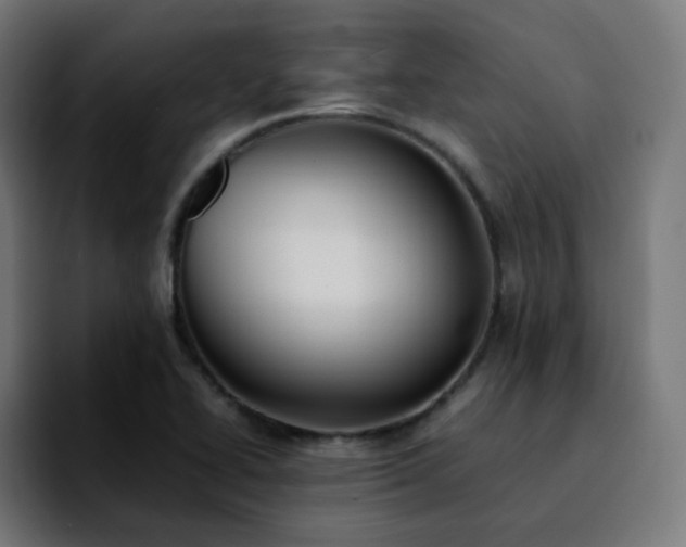 X0000092221414200709210959