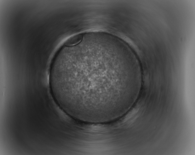 X0000092221416200709210959