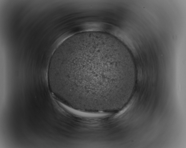 X0000092221417200709210959