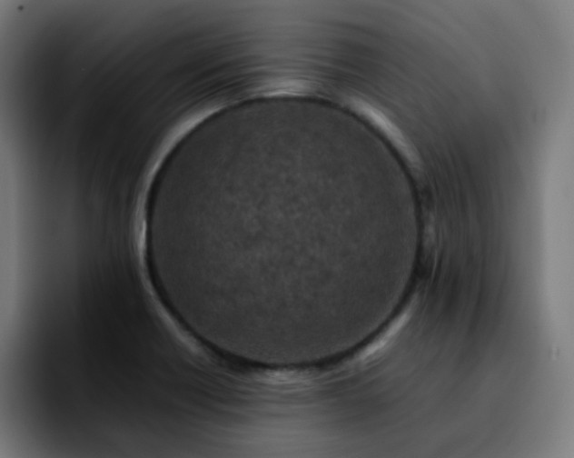 X0000092221418200709210959