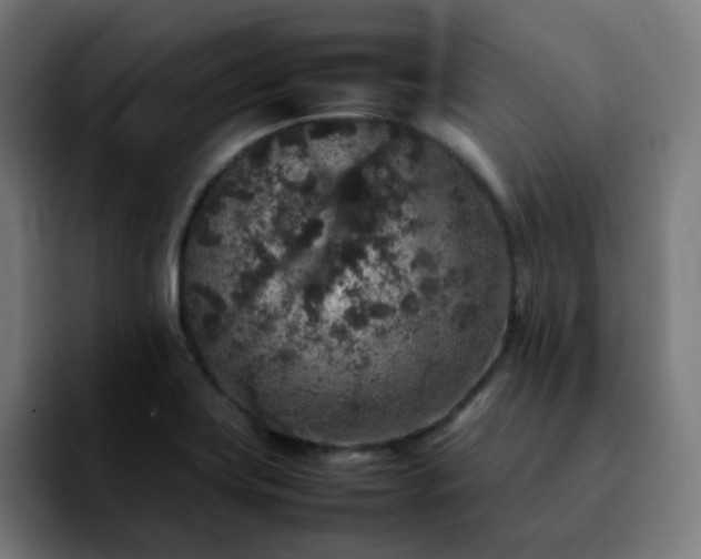 X0000092221419200709210959