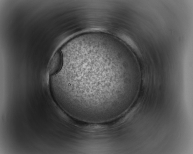 X0000092221420200709210959