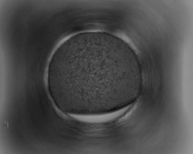 X0000092221421200709210959