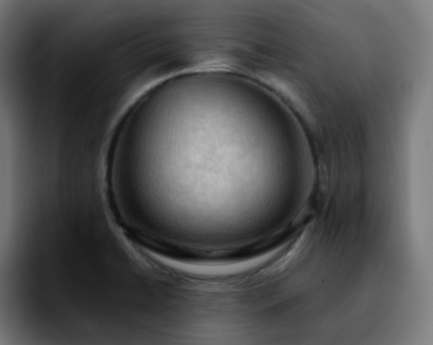 X0000092221422200709210959