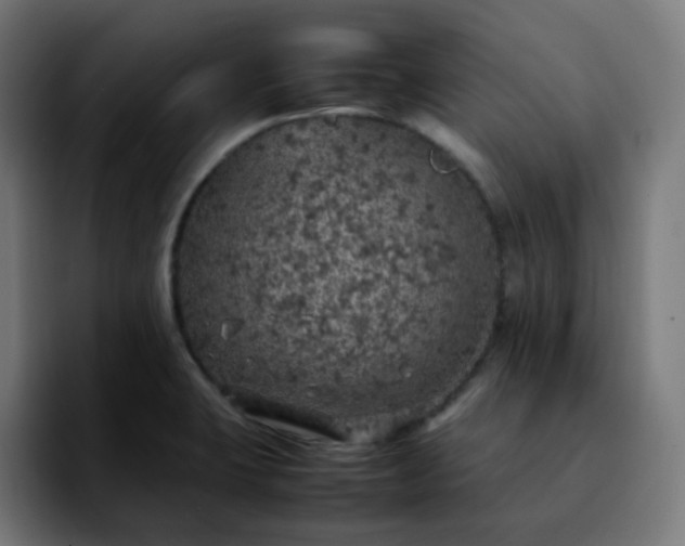 X0000092221423200709210959
