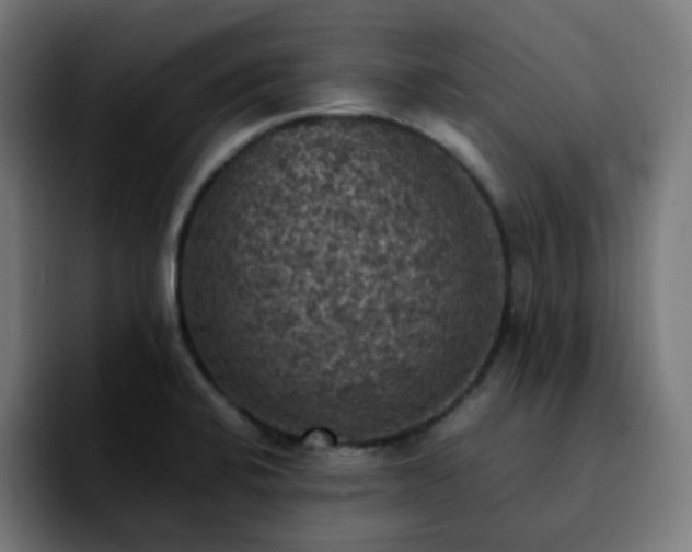 X0000092221424200709210959