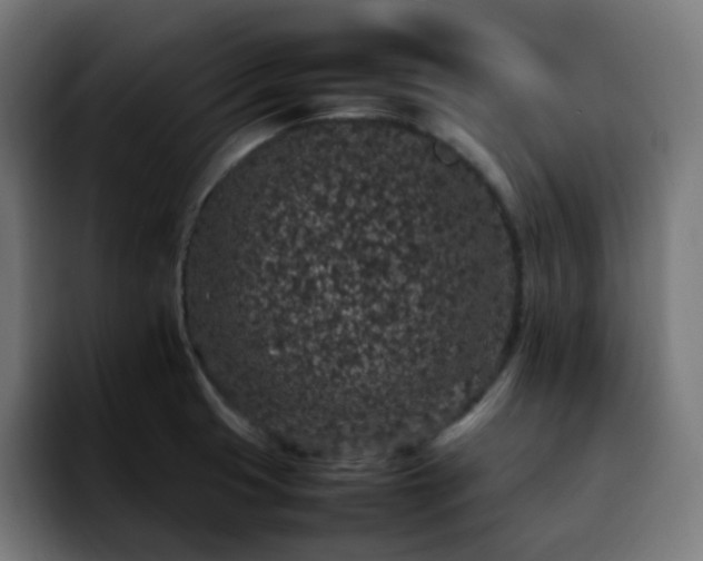 X0000092221425200709210959