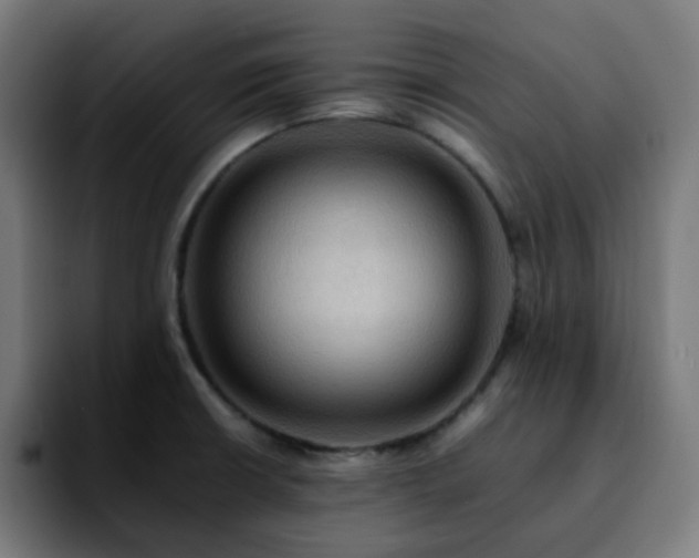 X0000092221426200709210959