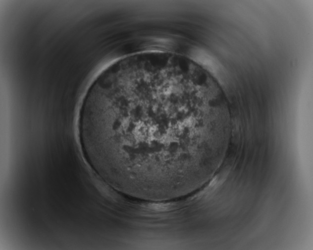 X0000092221427200709210959