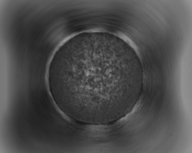 X0000092221429200709211000