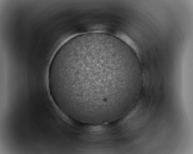 X0000092221431200709211000