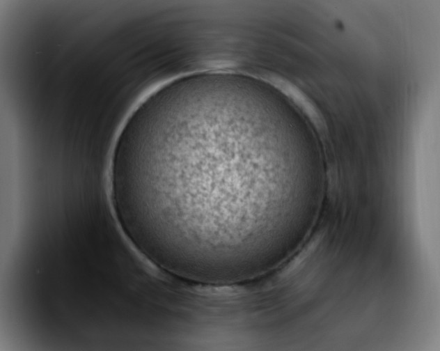 X0000092221432200709211000