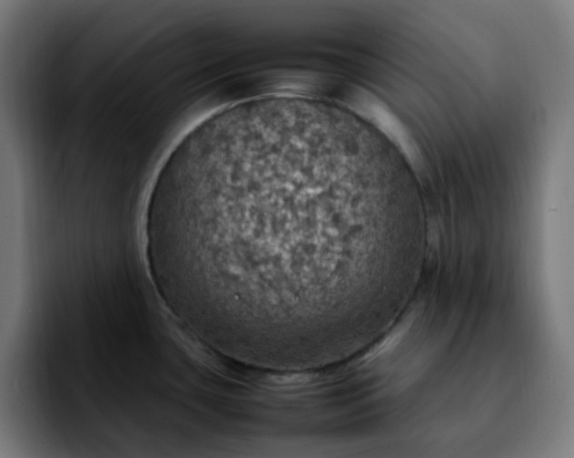 X0000092221435200709211000