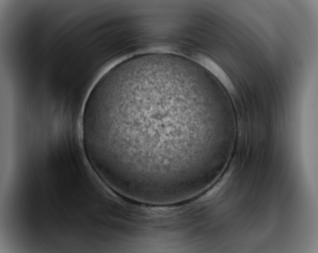 X0000092221436200709211000