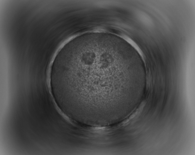 X0000092221437200709211000