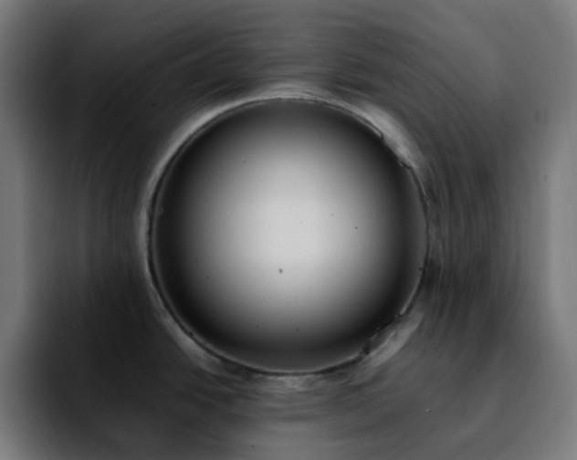 X0000092221438200709211000