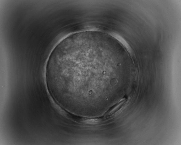 X0000092221439200709211000