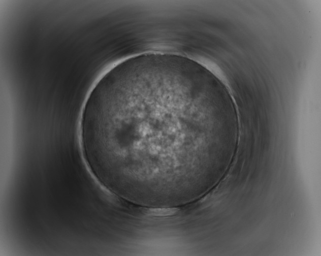 X0000092221440200709211000