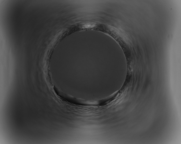X0000092221441200709210959