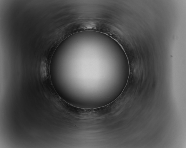 X0000092221442200709210959