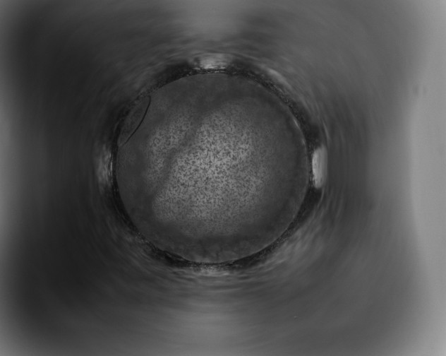X0000092221443200709210959