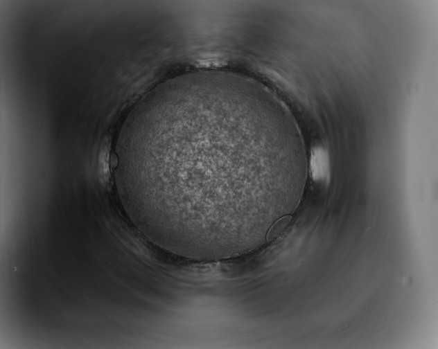 X0000092221444200709210959