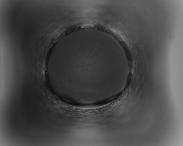 X0000092221445200709210959
