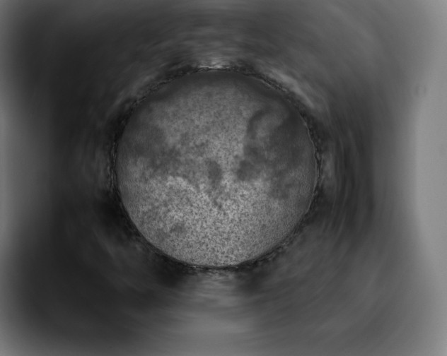 X0000092221446200709210959